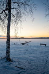 Old Pier And A Bench Behind A Birch Tree