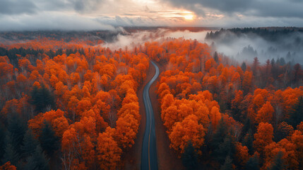 Fototapeta premium an amazing mountain road through colourful autumn forest