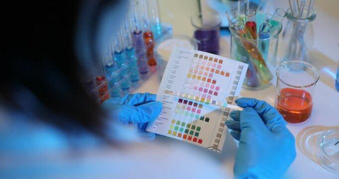 Researcher examines color chart with various liquids in beakers while experiment to evaluate chemical reactions and pH