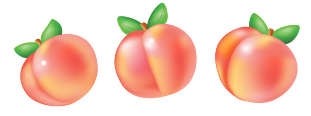 Peach fruit  flying on white background realistic element. Vector juicy art