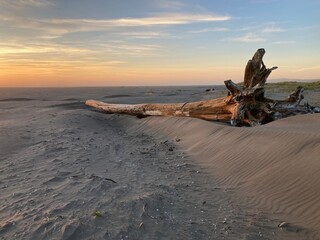 Copalis Beach, Washington 