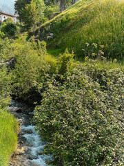 stream in the mountains