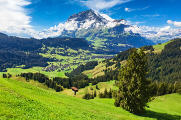 Fototapeta premium Alps Landscape Background