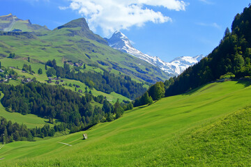Naklejka premium Alps Landscape Background
