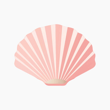 Pink seashell vector illustration
