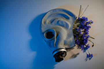 Unfiltered gas mask filled with cornflowers