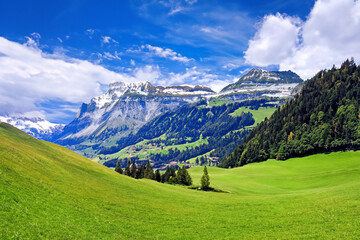 Fototapeta premium Alps Landscape Background