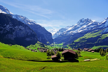 Fototapeta premium Alps Landscape Background