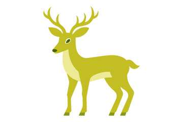 deer illustration