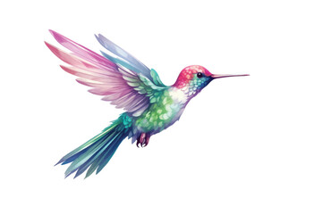 Fototapeta premium Hummingbird animal flying white background