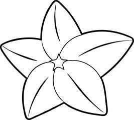 Black And White Outline Of A Starfruit Slice With Five Distinctive Sectional Shapes And Clean Lines