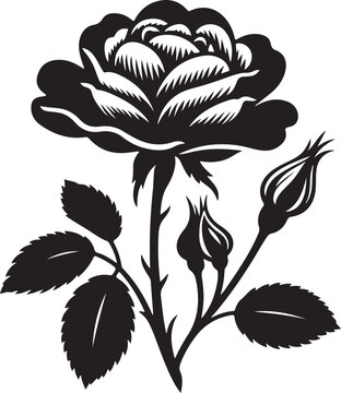 a black and white drawing of a roso flower roso it 