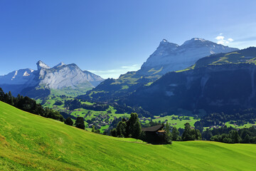 Fototapeta premium Alps Landscape Background