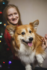 portrait of a girl with a dog corgi