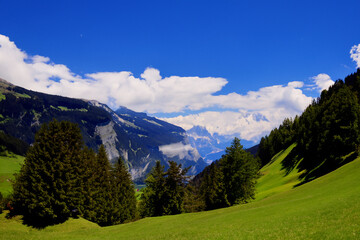 Alps Landscape Background