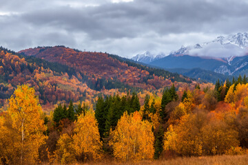 Autumn Landscape Background
