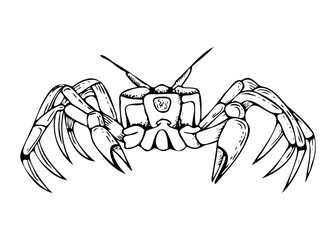 Line crab black and white vector illustration. Realistic ghost crab animal with claws from tropical sea nature. Ocean and underwater fauna ink sketch for seafood and eco friendly designs