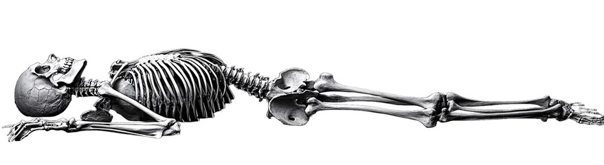 Skeleton lying on the ground, full body view, transparent background