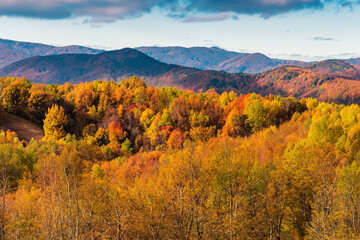 Autumn Landscape Background