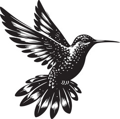Obraz premium hummingbird vector design clipart flat style artwork