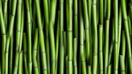 Fototapeta premium The lush green bamboo stems are densely arranged, creating a serene, abstract backdrop perfect for various design purposes or as a calming wallpaper. SEAMLESS PATTERN