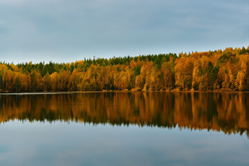 Autumn Landscape Background