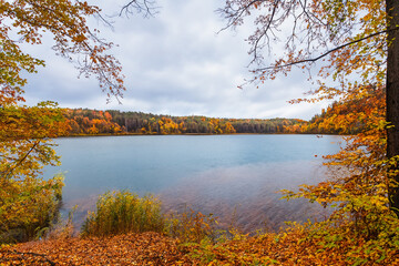 Autumn Landscape Background