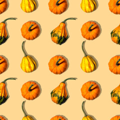 seamless pattern different pumpkins on a orange background