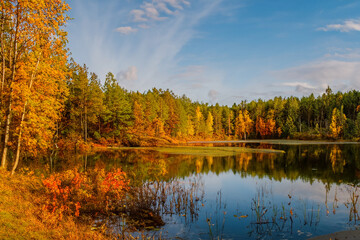 Fototapeta premium Autumn Landscape Background