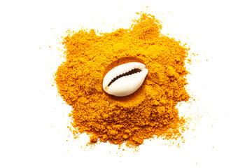 Top view of Cowrie (Cypraea chinensis) placed over a pile of Turmeric (Haldi), isolated on a white background.