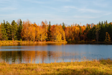 Fototapeta premium Autumn Landscape Background