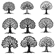 colorful and black tree vector illustration design