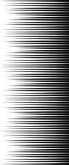 black and white stripes