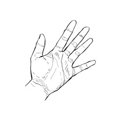 Illustration hand drawn Human hand Action sketch ink style on white background.