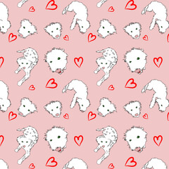 Pattern con graziosi barboncini bianchi  e cuori rossi su sfondo rosa