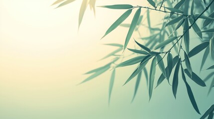 Fototapeta premium A zen background featuring delicate bamboo leaves against a smooth gradient.