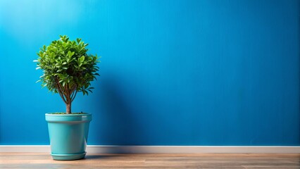 Fototapeta premium A green potted plant in front of a bright blue wall