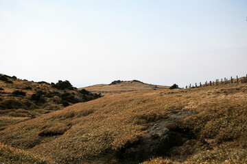 Meadow on Halla Mountain in Jeju Island