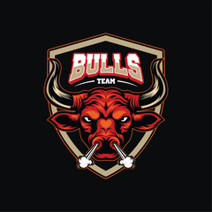 vector e sport logo bulls