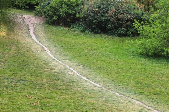 Desire path trampled grass in park in Europe