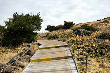 View of the walkway on Halla Mountain in Jeju Island