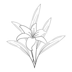 Doodle flower design for coloring book