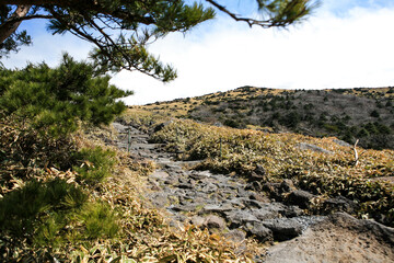 Fototapeta premium View of the walkway on Halla Mountain in Jeju Island