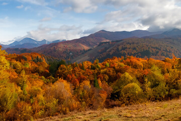 Autumn Landscape Background