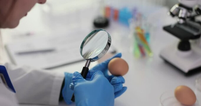 Research scientist agronomist studies the surface of eggs with a magnifying glass