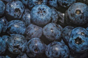 Zoomed image of ripe blueberry filling frame with bright color. Background fresh blueberry purple.
