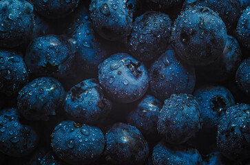 Incredible sight of purple blueberries shimmering in drops of water. Wet drop blueberrie background.