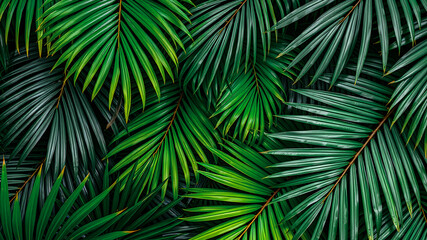 Tropical green leaves background, artistic wall decoration. Abstract nature leaf closeup, peaceful relaxing eye calming natural design. Palm banana and exotic leaves plants AI generated