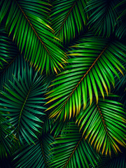 Tropical green leaves background, artistic wall decoration. Abstract nature leaf closeup, peaceful relaxing eye calming natural design. Palm banana and exotic leaves plants AI generated