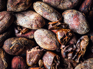 Cocoa beans background, close-up of cocoa bean,  dried broken cocoa beans